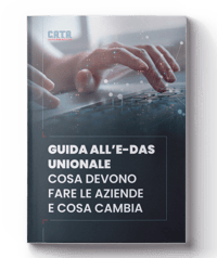 MOCKUP_WP-Guida all e-DAS unionale MOCKUP_WP-Guida all e-DAS unionale